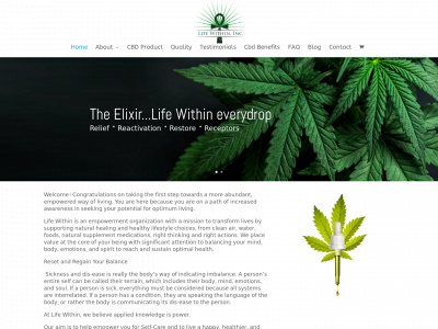lifewithin.com snapshot