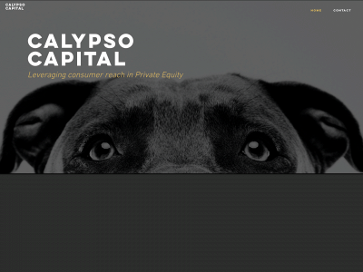calypsocapital.de snapshot