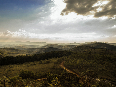 presencenatural.hu snapshot