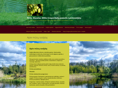 laivys.puslapiai.lt snapshot