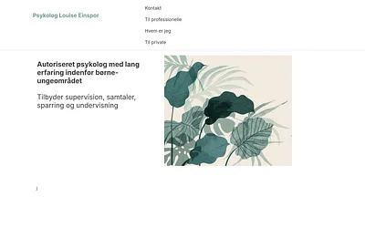 louiseeinspor.dk snapshot