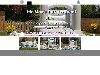 littlemoospartyhire.co.uk snapshot