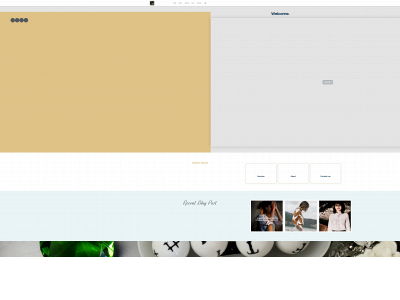 latashaseth.com snapshot