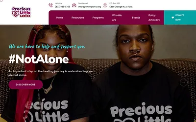 pllnonprofit.com snapshot