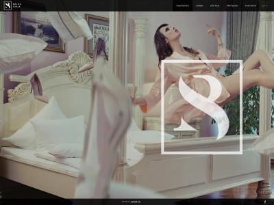 baldusvaja.lt snapshot