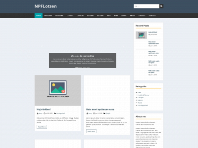 npflotsen.se snapshot