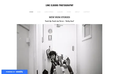 limeeldoro.weebly.com snapshot