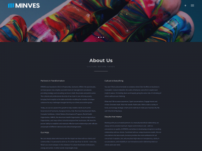 minves.com snapshot