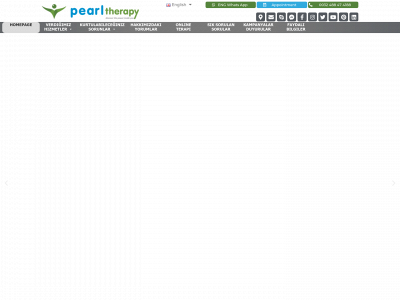 pearltherapycenter.com snapshot