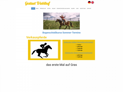 gestuet-trieblhof.at snapshot