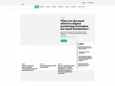 nybusinessideas.com snapshot