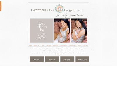 photographybygabriela.com snapshot