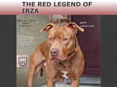 the-red-legend-of-irza.be snapshot