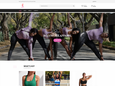 bodiworxsa.co.za snapshot