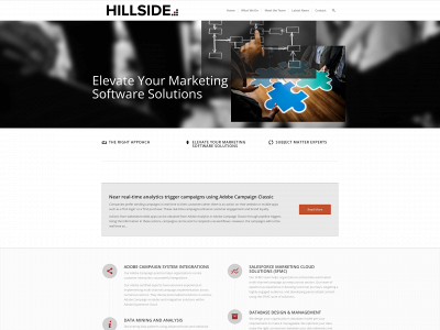 thehillsidegroup.com snapshot