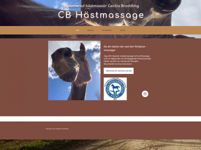 cbhastmassage.se snapshot