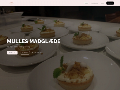 apmmadglaede.dk snapshot