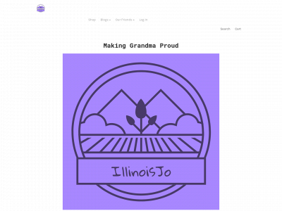 www.illinoisjo.com snapshot