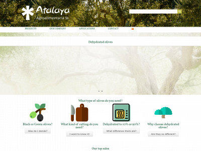 aceitunasdeshidratadas.com snapshot