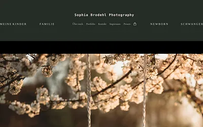 sophiabrodehl-photography.de snapshot