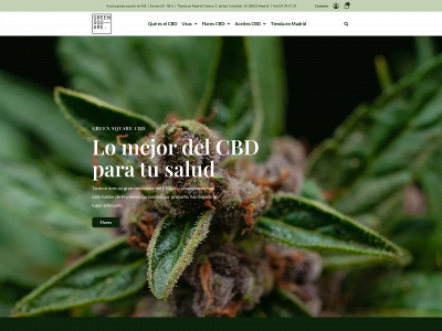 greensquarecbd.net snapshot