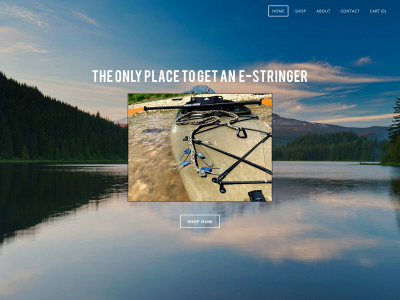 www.e-stringer.com snapshot