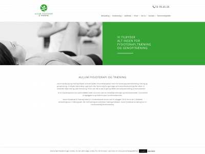 aulumfys.dk snapshot
