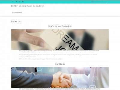 reachmedicalsales.com snapshot