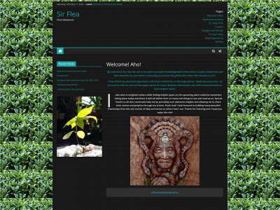 sirflea.com snapshot