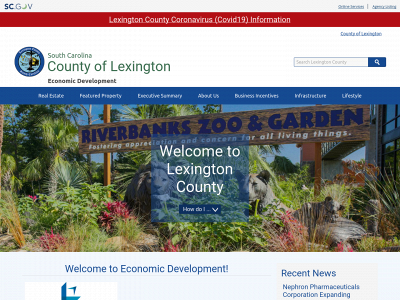 lexingtoncountyusa.sc.gov snapshot