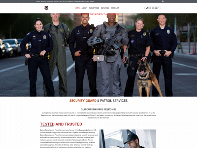 salumsecurity.com snapshot