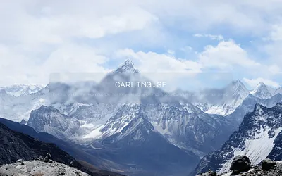 carling.se snapshot