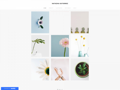 natgdraws.weebly.com snapshot