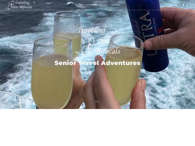 travelingthrubifocals.com snapshot