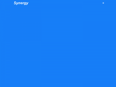 synergysofttissuetools.com snapshot
