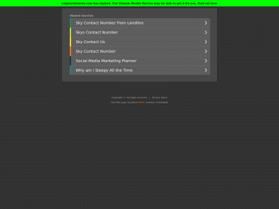 calgaryvietnews.com snapshot