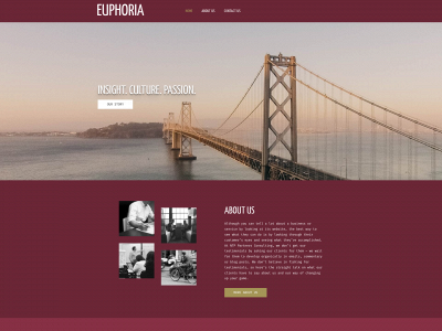 euphoriarealestate.ca snapshot