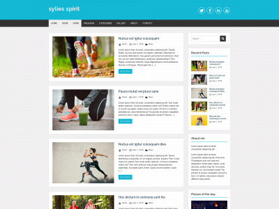 syliesspirit.com snapshot
