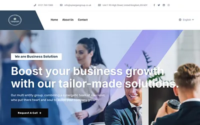 synergiengroup.co.uk snapshot