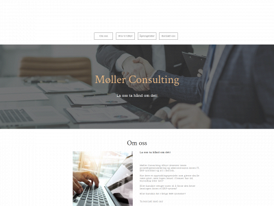 moller-consulting.no snapshot