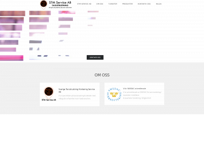 stockholmtaxiutrustning.com snapshot