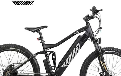 www.radiant.bike snapshot