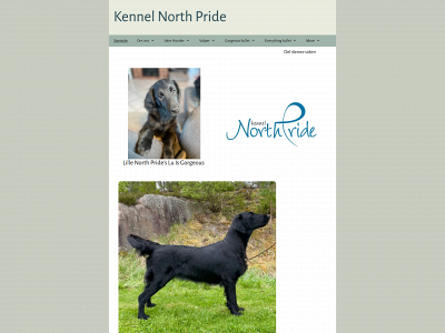 northpride.net snapshot