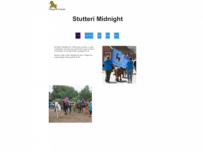 stutteri-midnight.dk snapshot