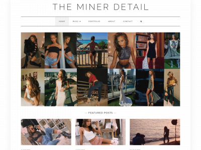 theminerdetail.com snapshot