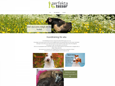 perfektatassar.se snapshot