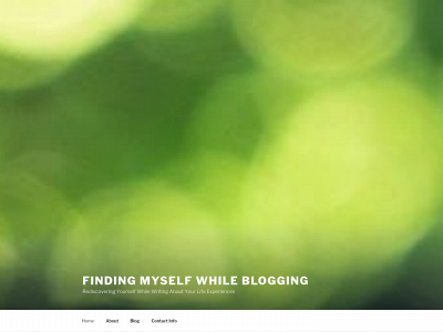 findingmethrublogging.com snapshot