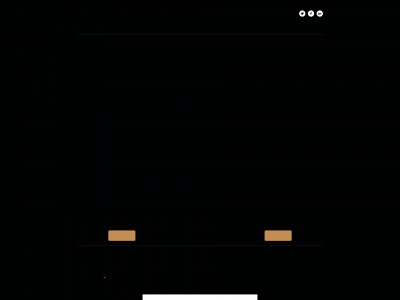 viphandling.com snapshot