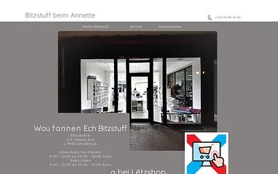 bitzstuff.com snapshot