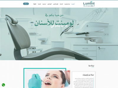 lumintgroup.com snapshot